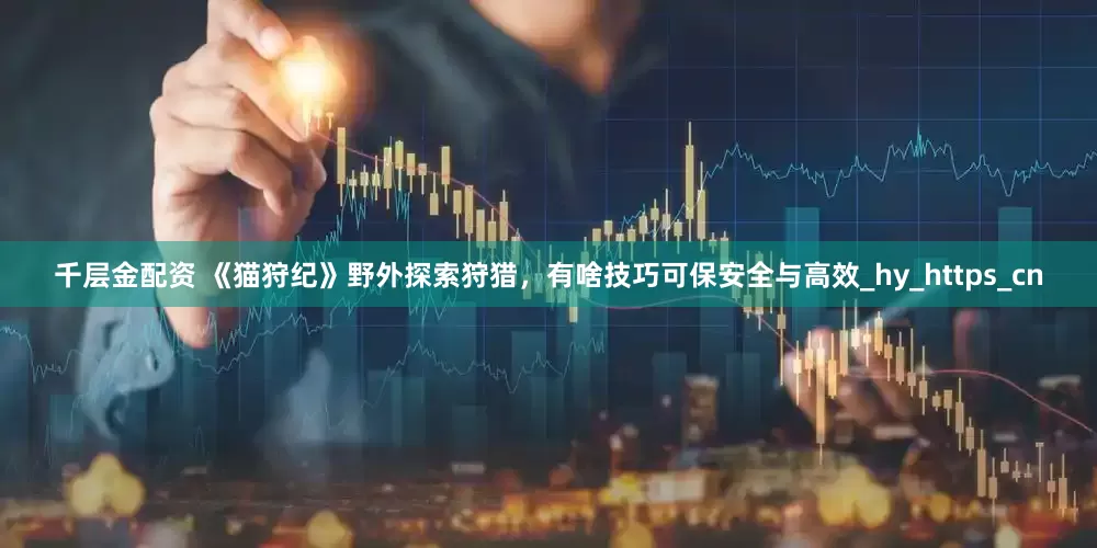 千层金配资 《猫狩纪》野外探索狩猎，有啥技巧可保安全与高效_hy_https_cn