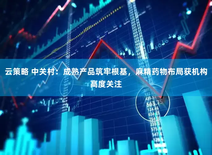 云策略 中关村：成熟产品筑牢根基，麻精药物布局获机构高度关注